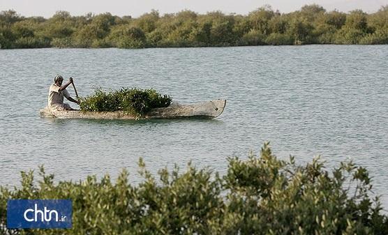 مستندنگاری دانش بومی پزشکی مردمی در ارتباط با زیست بوم جنگل مستندنگاری دانش بومی پزشکی مردمی در ارتباط با زیست بوم جنگل حرا