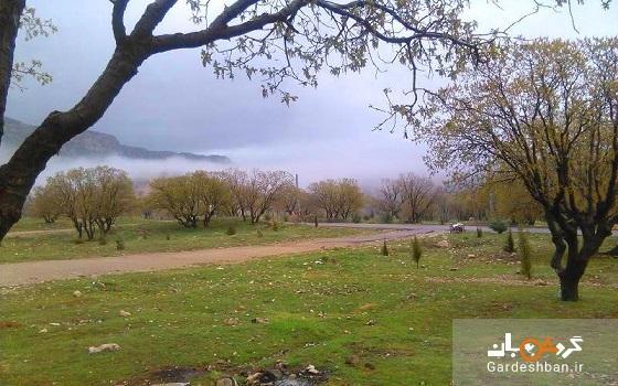 پارک جنگلی چغاسبز؛ تفرجگاه باشکوه ایلام، تصاویر پارک جنگلی چغاسبز؛ تفرجگاه باشکوه ایلام، تصاویر