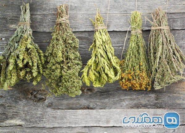 اگر فکر می کنید سبزیجات خشک شده ویتامین دارند، سخت در اشتباه هستید
