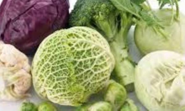 فوائد کلم در سلامت فوائد کلم در سلامت