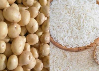 ورود دولت به بازار سیب زمینی و برنج، افزایش عرضه، قیمت سیب زمینی را کاهش داد