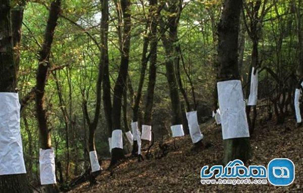 روستای کوتنا یکی از دیدنی ترین روستاهای قائمشهر است
