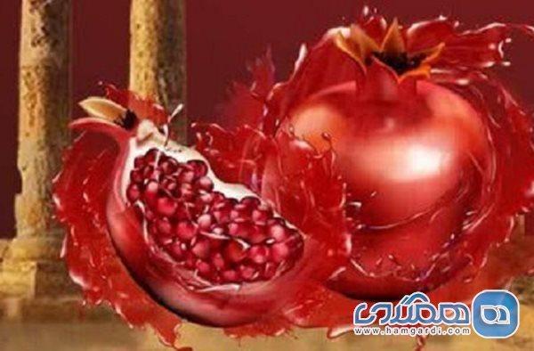 سومین جشنواره انار خورهه در روستای خورهه برگزار خواهد شد