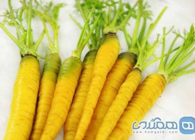 روستاهای خرانق اردکان میزبان جشنواره زردک می شوند