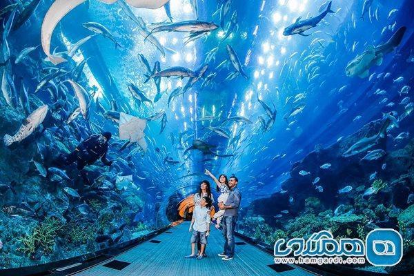 5 دلیل برای سفر با توردبی ، سفری به دنیای خارق العاده زیر 5 علت برای سفر با توردبی ، سفری به دنیای خارق العاده زیر آب