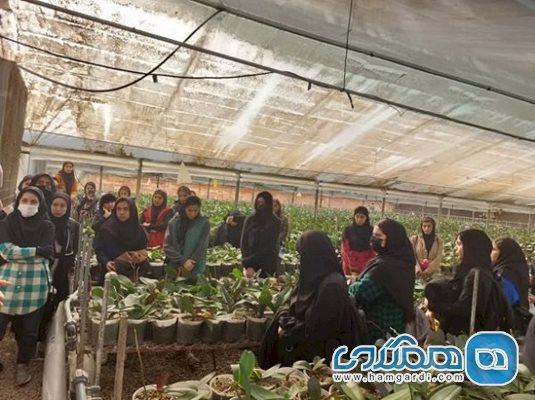 نخستین تور بازدید از گلخانه های پاکدشت برگزار می شود نخستین تور بازدید از گلخانه های پاکدشت برگزار می گردد