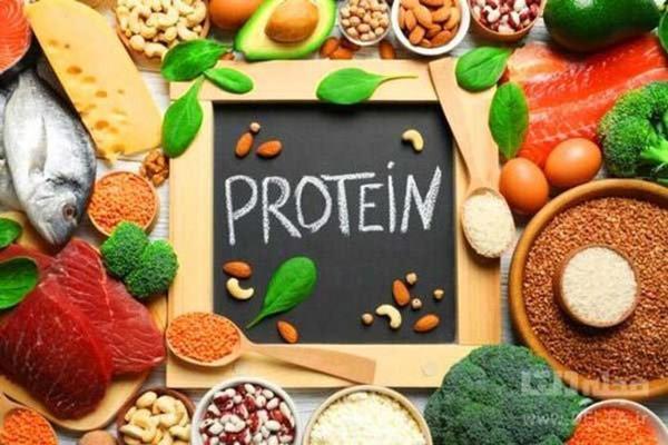 چه کسانی باید پروتئین بیشتری مصرف کنند؟ چه کسانی باید پروتئین بیشتری مصرف کنند؟