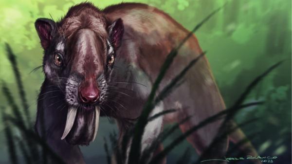 عکس ، وحشتناک ترین شکارچی شب :کیسه دار دندان خنجری !