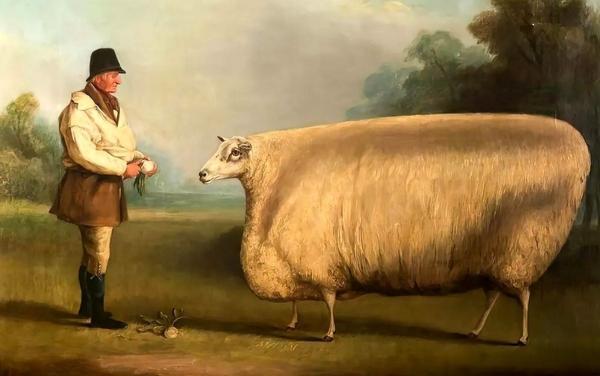 راز گاو و گوسفند های مستطیلی در این نقاشی های 150 ساله